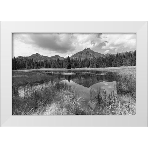 Custer-Gallatin National Forest, Knox Lake Trail, Yellowstone National Park White Modern Wood Framed Art Print by The Yellowstone Collection