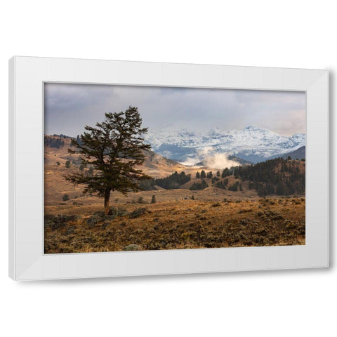 Cutoff Mountain from Lamar Valley, Yellowstone National Park White Modern Wood Framed Art Print by The Yellowstone Collection