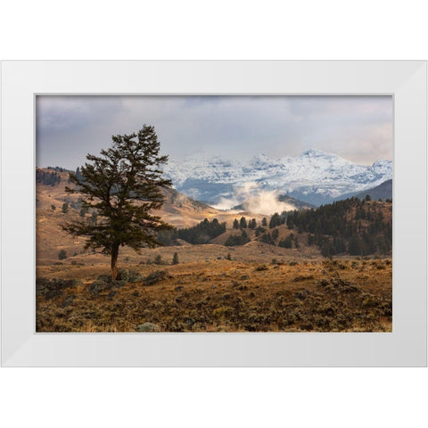 Cutoff Mountain from Lamar Valley, Yellowstone National Park White Modern Wood Framed Art Print by The Yellowstone Collection
