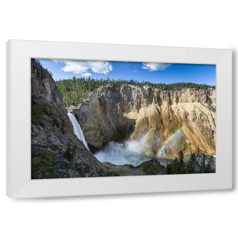 Lower Falls from Uncle Toms Trail, Yellowstone National Park White Modern Wood Framed Art Print by Herbert, Neal