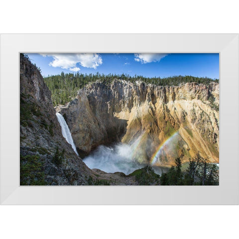 Lower Falls from Uncle Toms Trail, Yellowstone National Park White Modern Wood Framed Art Print by Herbert, Neal