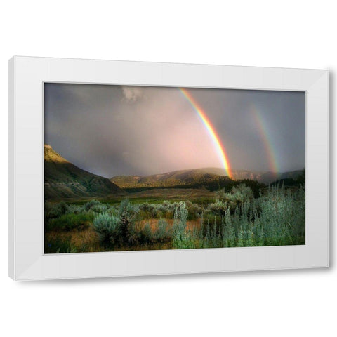 Double Rainbow from Lower Mammoth, Yellowstone National Park White Modern Wood Framed Art Print by The Yellowstone Collection