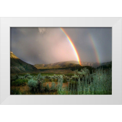 Double Rainbow from Lower Mammoth, Yellowstone National Park White Modern Wood Framed Art Print by The Yellowstone Collection