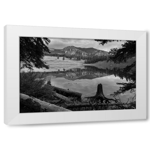 Early Morning at Trout Lake, Yellowstone National Park White Modern Wood Framed Art Print by The Yellowstone Collection