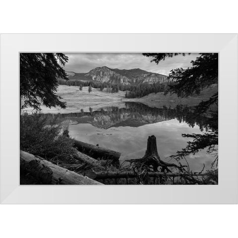 Early Morning at Trout Lake, Yellowstone National Park White Modern Wood Framed Art Print by The Yellowstone Collection