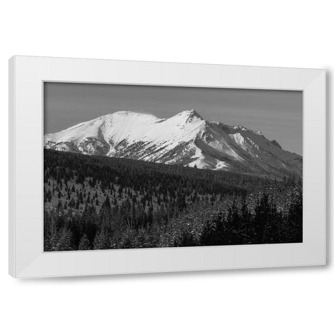 Electric Peak from Obsidian Canyon, Yellowstone National Park White Modern Wood Framed Art Print by Frank, Jacob W.