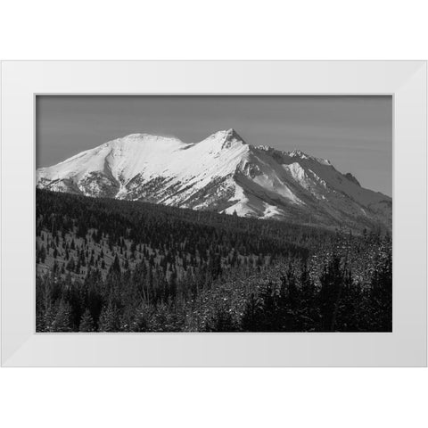 Electric Peak from Obsidian Canyon, Yellowstone National Park White Modern Wood Framed Art Print by Frank, Jacob W.
