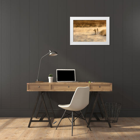 Fall Fishing on the Madison River, Yellowstone National Park White Modern Wood Framed Art Print by Frank, Jacob W.
