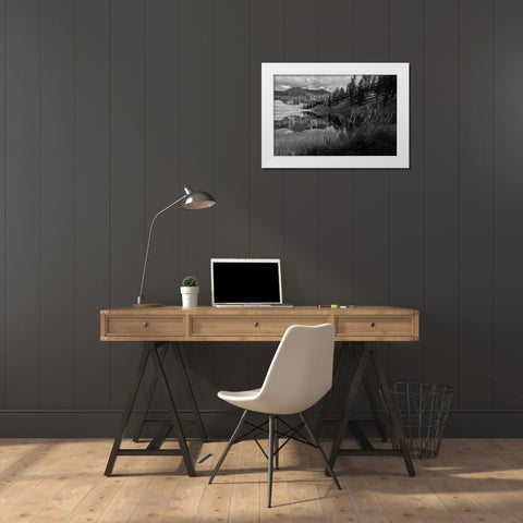 Fall Reflections at Trout Lake, Yellowstone National Park White Modern Wood Framed Art Print by Frank, Jacob W.