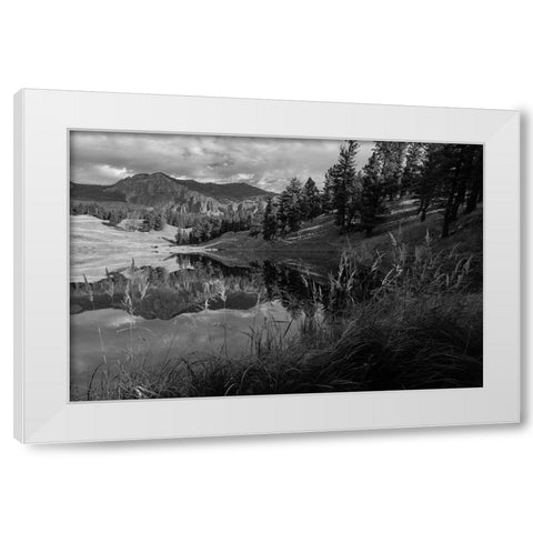 Fall Reflections at Trout Lake, Yellowstone National Park White Modern Wood Framed Art Print by Frank, Jacob W.