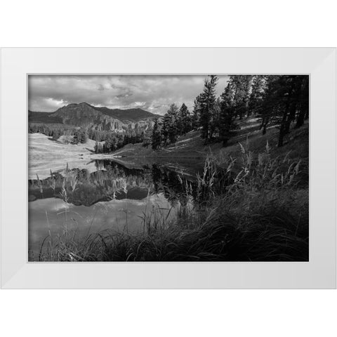 Fall Reflections at Trout Lake, Yellowstone National Park White Modern Wood Framed Art Print by Frank, Jacob W.