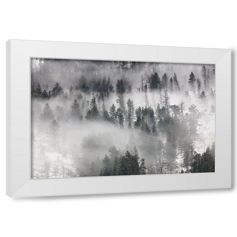 Fog in Lamar Valley, Yellowstone National Park White Modern Wood Framed Art Print by The Yellowstone Collection