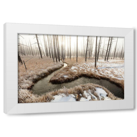 Foggy Morning at Tangled Creek, Yellowstone National Park White Modern Wood Framed Art Print by The Yellowstone Collection