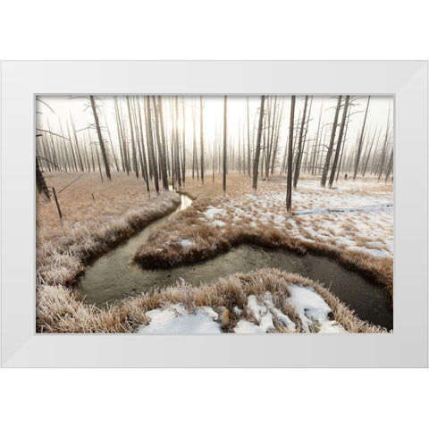 Foggy Morning at Tangled Creek, Yellowstone National Park White Modern Wood Framed Art Print by The Yellowstone Collection
