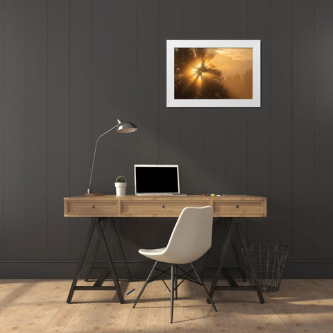 Foggy Sunrise, Blacktail Deer Plateau, Yellowstone National Park White Modern Wood Framed Art Print by The Yellowstone Collection