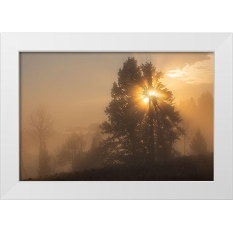 Foggy Sunrise, Blacktail Deer Plateau, Yellowstone National Park White Modern Wood Framed Art Print by The Yellowstone Collection
