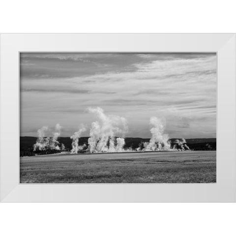 Fountain Paint Pots, Lower Geyser Basin, Yellowstone National Park White Modern Wood Framed Art Print by Renkin, Diane