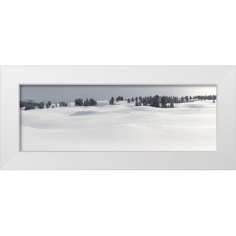Fresh Snow, Blacktail Deer Plateau, Yellowstone National Park White Modern Wood Framed Art Print by The Yellowstone Collection