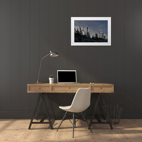 Frosted Trees in Gibbon Canyon, Yellowstone National Park White Modern Wood Framed Art Print by Peaco, Jim