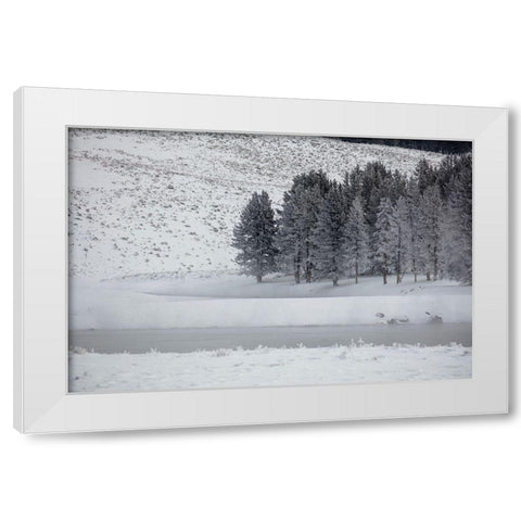 Frosty Trees in Hayden Valley, Yellowstone National Park White Modern Wood Framed Art Print by The Yellowstone Collection