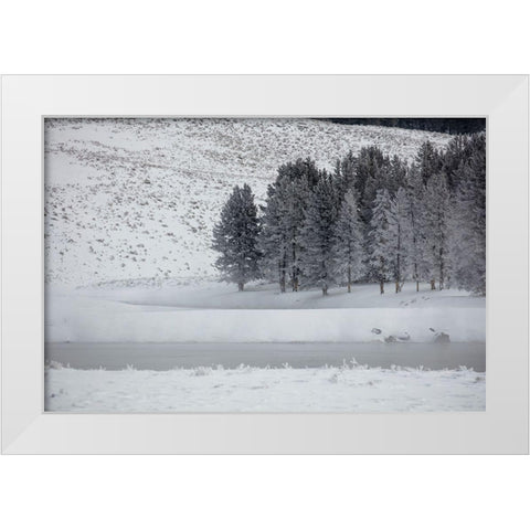 Frosty Trees in Hayden Valley, Yellowstone National Park White Modern Wood Framed Art Print by The Yellowstone Collection