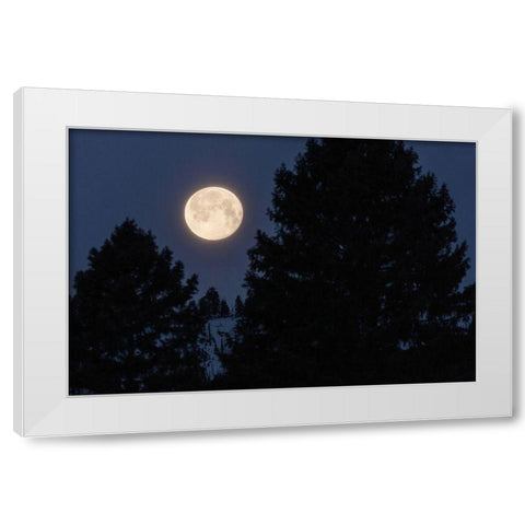 Full Moon sets Over Sepulcher Mountain, Yellowstone National Park White Modern Wood Framed Art Print by The Yellowstone Collection