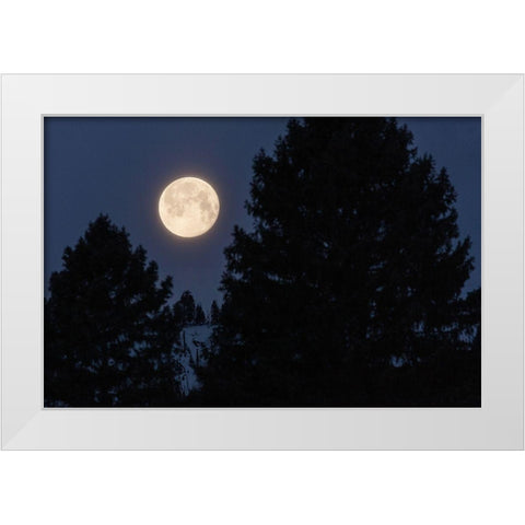 Full Moon sets Over Sepulcher Mountain, Yellowstone National Park White Modern Wood Framed Art Print by The Yellowstone Collection