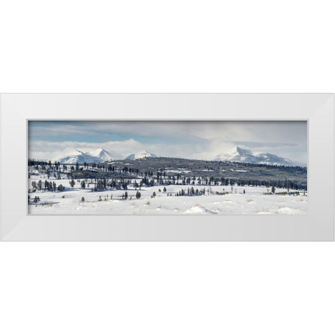 Gallatin Mountains from Blacktail Deer Plateau, Yellowstone National Park White Modern Wood Framed Art Print by The Yellowstone Collection