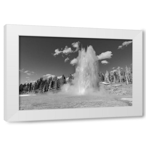 Grand Geyser Eruption, Yellowstone National Park White Modern Wood Framed Art Print by The Yellowstone Collection