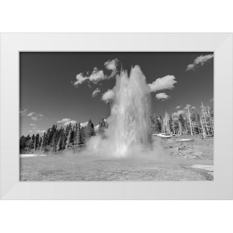 Grand Geyser Eruption, Yellowstone National Park White Modern Wood Framed Art Print by The Yellowstone Collection