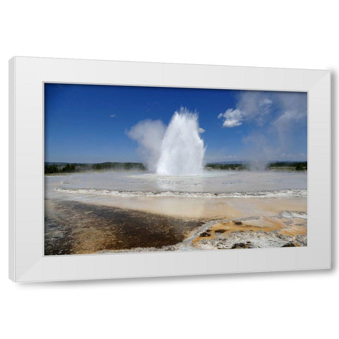 Great Fountain Geyser, Yellowstone National Park White Modern Wood Framed Art Print by Renkin, Diane