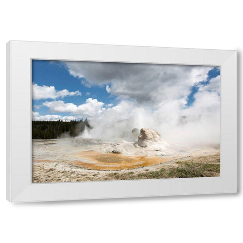 Grotto Geyser, Yellowstone National Park White Modern Wood Framed Art Print by The Yellowstone Collection