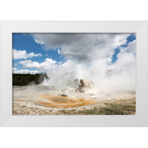 Grotto Geyser, Yellowstone National Park White Modern Wood Framed Art Print by The Yellowstone Collection