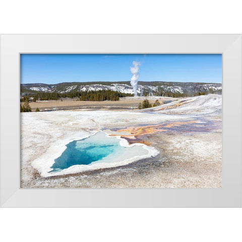 Heart Spring with a Castle Geyser Eruption, Yellowstone National Park White Modern Wood Framed Art Print by Frank, Jacob W.