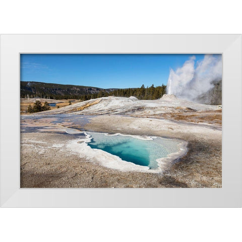 Lion Geyser and Heart Spring, Yellowstone National Park White Modern Wood Framed Art Print by The Yellowstone Collection