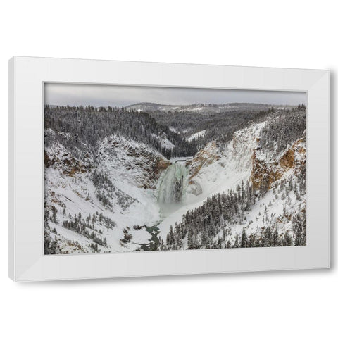 Lower Falls from Lookout Point, Yellowstone National Park White Modern Wood Framed Art Print by Frank, Jacob W.