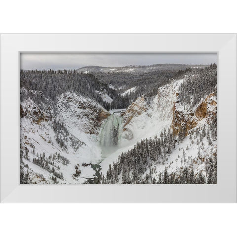 Lower Falls from Lookout Point, Yellowstone National Park White Modern Wood Framed Art Print by Frank, Jacob W.