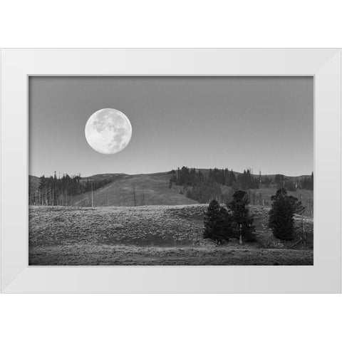 Moonset, Lamar Valley, Yellowstone National Park White Modern Wood Framed Art Print by Herbert, Neal