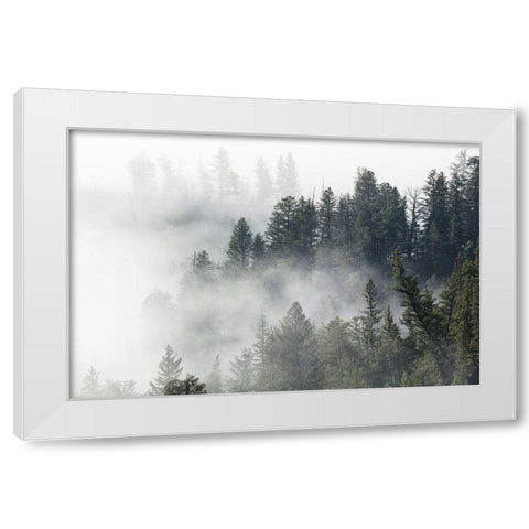 Morning Fog near Tower Fall, Yellowstone National Park White Modern Wood Framed Art Print by The Yellowstone Collection