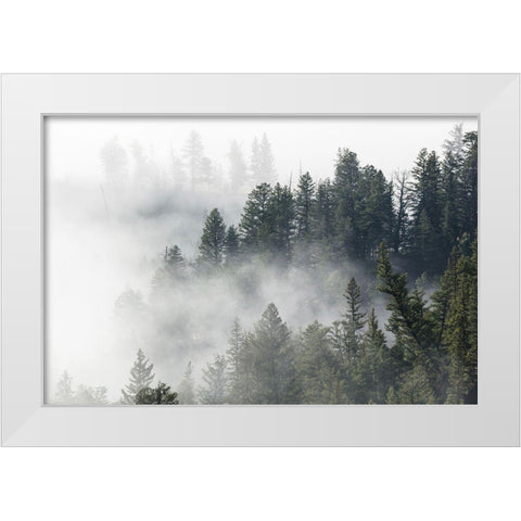 Morning Fog near Tower Fall, Yellowstone National Park White Modern Wood Framed Art Print by The Yellowstone Collection