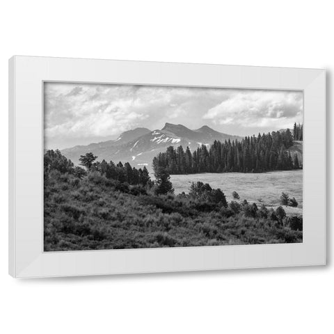 Saddle Mountain and Pollux Peak from Druid Peak hillside, Yellowstone National Park White Modern Wood Framed Art Print by Frank, Jacob W.