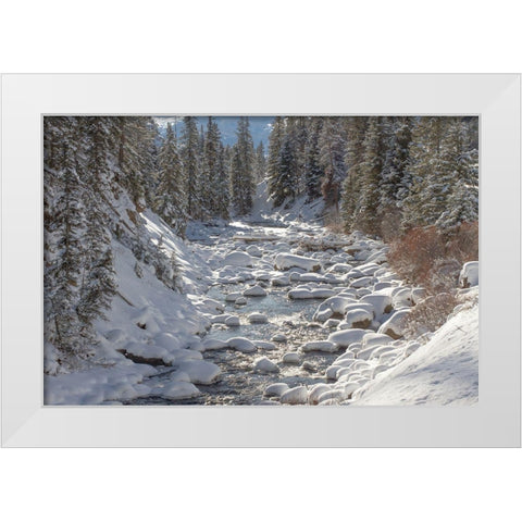 Soda Butte Creek, Yellowstone National Park White Modern Wood Framed Art Print by Renkin, Diane