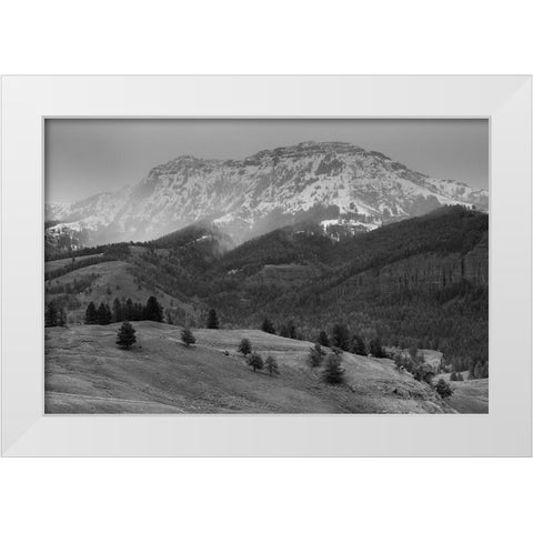 Spring Snow, Lamar Valley, Yellowstone National Park White Modern Wood Framed Art Print by The Yellowstone Collection