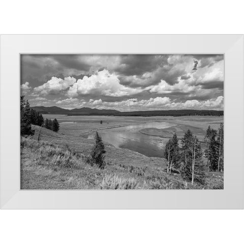 Hayden Valley and Yellowstone River, Yellowstone National Park White Modern Wood Framed Art Print by Frank, Jacob W.