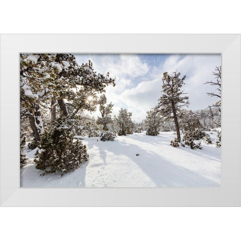 Snow Slurries at Mammoth Hot Springs Terraces, Yellowstone National Park White Modern Wood Framed Art Print by The Yellowstone Collection