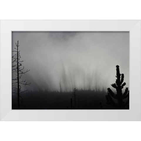 Roaring Mountain, Yellowstone National Park White Modern Wood Framed Art Print by The Yellowstone Collection