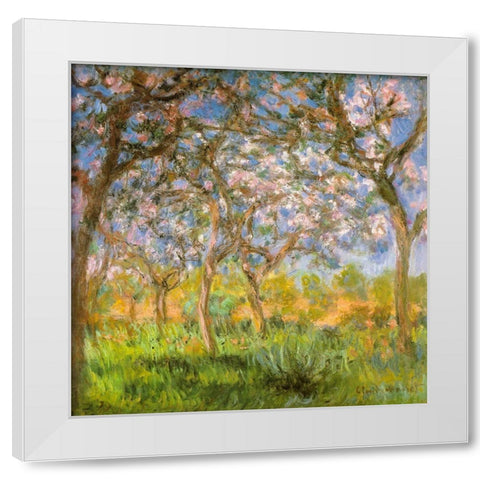 Spring 1900 White Modern Wood Framed Art Print by Monet, Claude