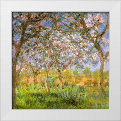 Spring 1900 White Modern Wood Framed Art Print by Monet, Claude