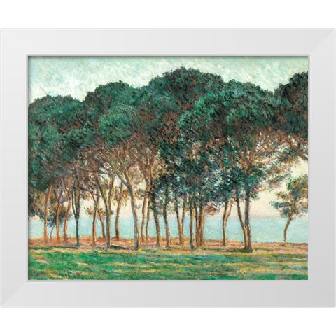 Umbrella Pines-Antibes 1888 White Modern Wood Framed Art Print by Monet, Claude