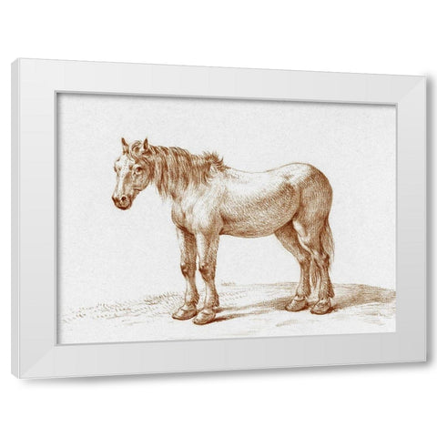 Standing Horse I White Modern Wood Framed Art Print by Bernard, Jean